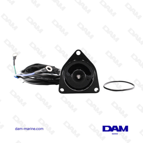 MOTORE TRIM YAMAHA F90 - F250 - 3V