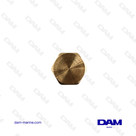 6P 1/2 NPT MALE PLUG