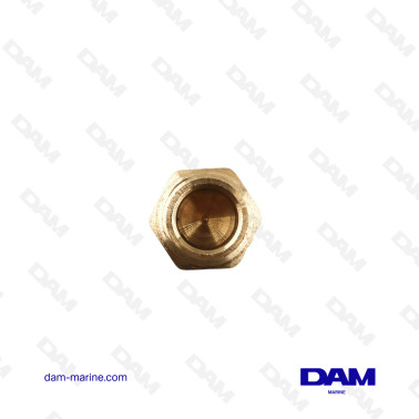BOUCHON MALE 6P 1/2 NPT