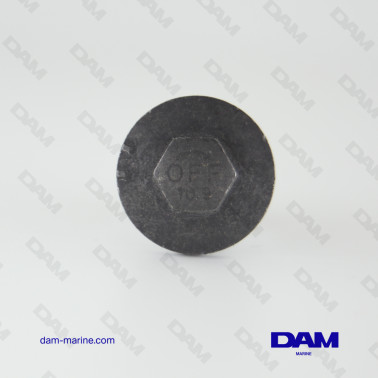 D - BOULON ARBRE A CAMES M12X40 MERCURY 8M0219429