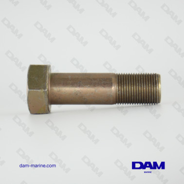 D - VERADO FLYWHEEL BOLT M20X68 MERCURY