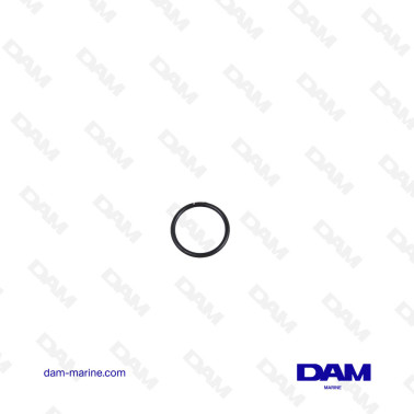 JUNTA TÓRICA DEL INYECTOR...