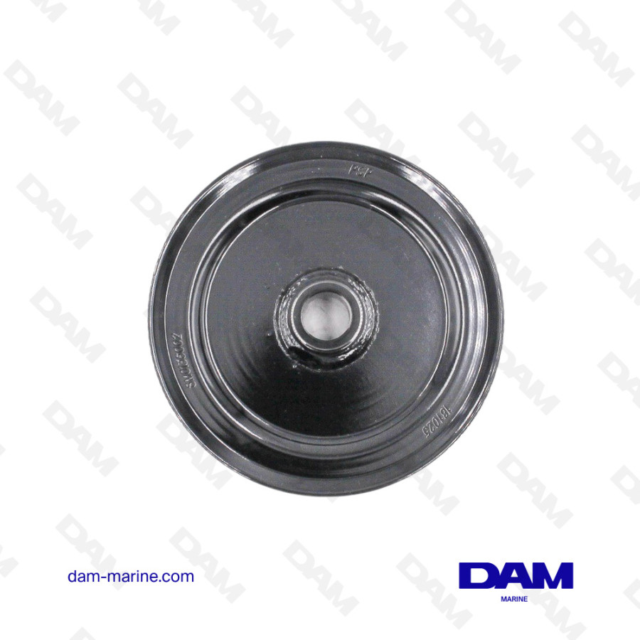 POLEA DE BOMBA DE DIRECCIÓN ASISTIDA SERPENTINA OEM