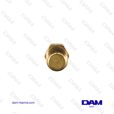 BOUCHON MALE 6P 1/4 NPT
