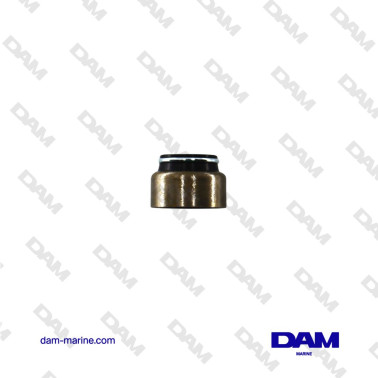 BRP WATER PUMP KIT