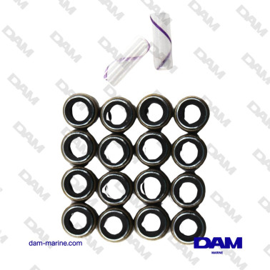 BRP WATER PUMP KIT