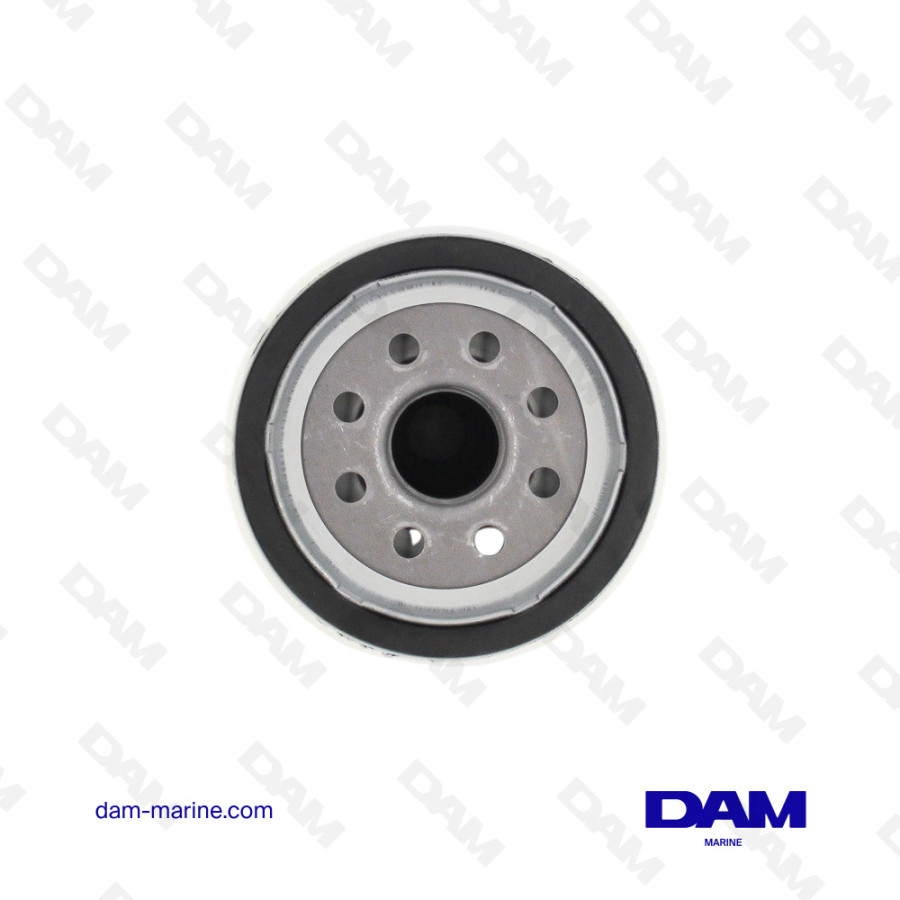 GASOLINE DECANTER FILTER