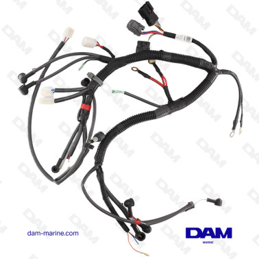 FAISCEAU VOIR 129670-77921