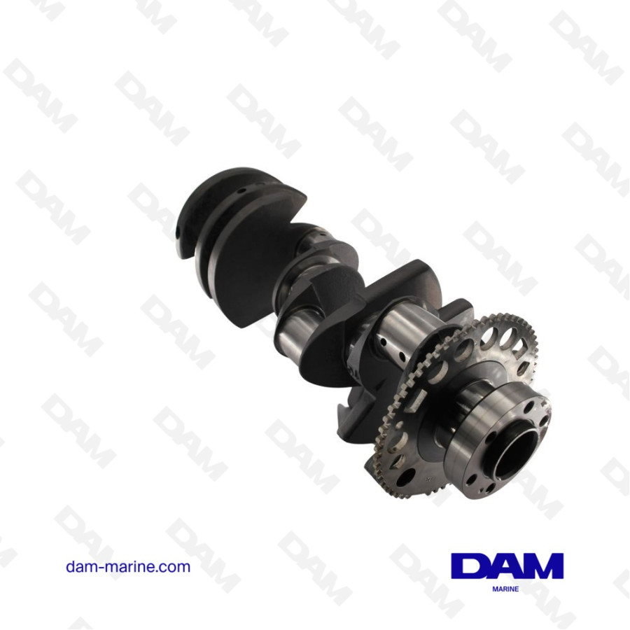 VILEBREQUIN GM LS ZR 58 DENTS AP07