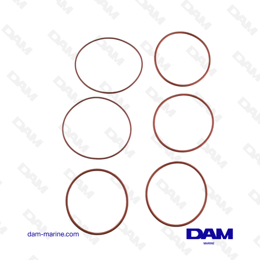 KIT GUARNIZIONI PER POMPA P68511