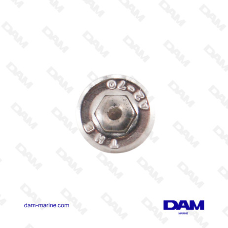 BULLONE BTR IN ACCIAIO INOX YANMAR M8X20