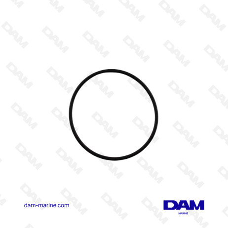 VOLVO SEA WATER PUMP COVER O-RING