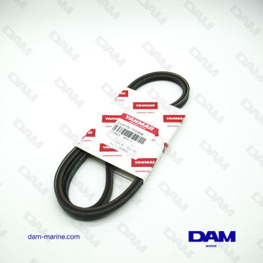 CORREA DEL ALTERNADOR...