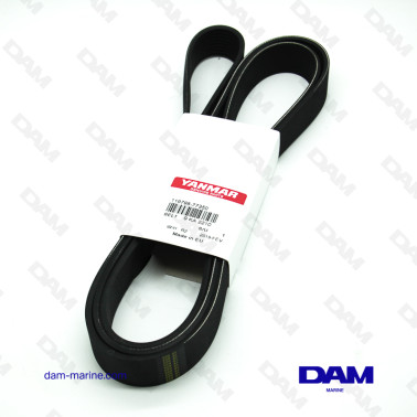 CINGHIA SERPENTINA YANMAR 8LV*