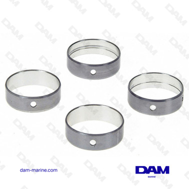 GM225 V6 CAMSHAFT BEARING SET