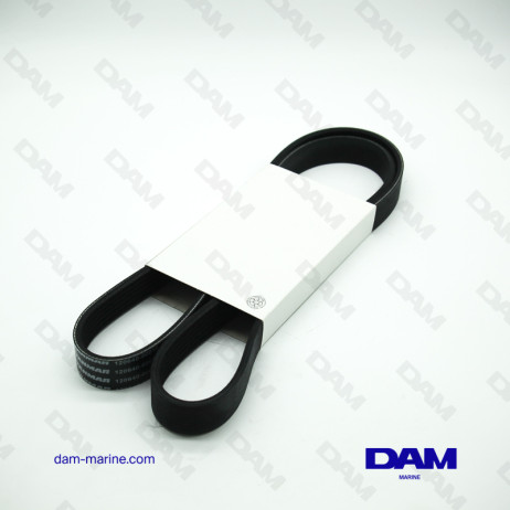 YANMAR ALTERNATOR BELT - LINE