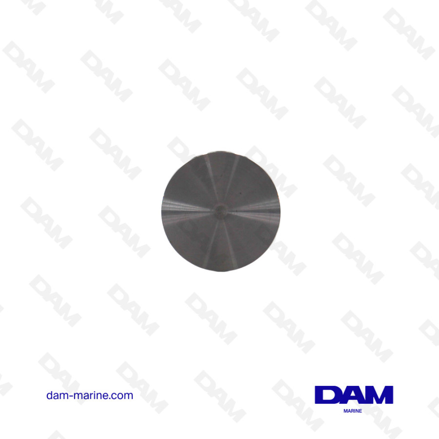 VOLVO 22 INTAKE VALVE - 859650