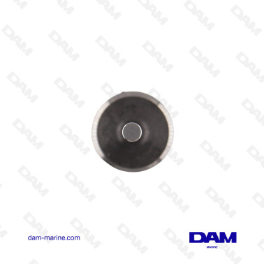 VOLVO 22 INTAKE VALVE - 859650