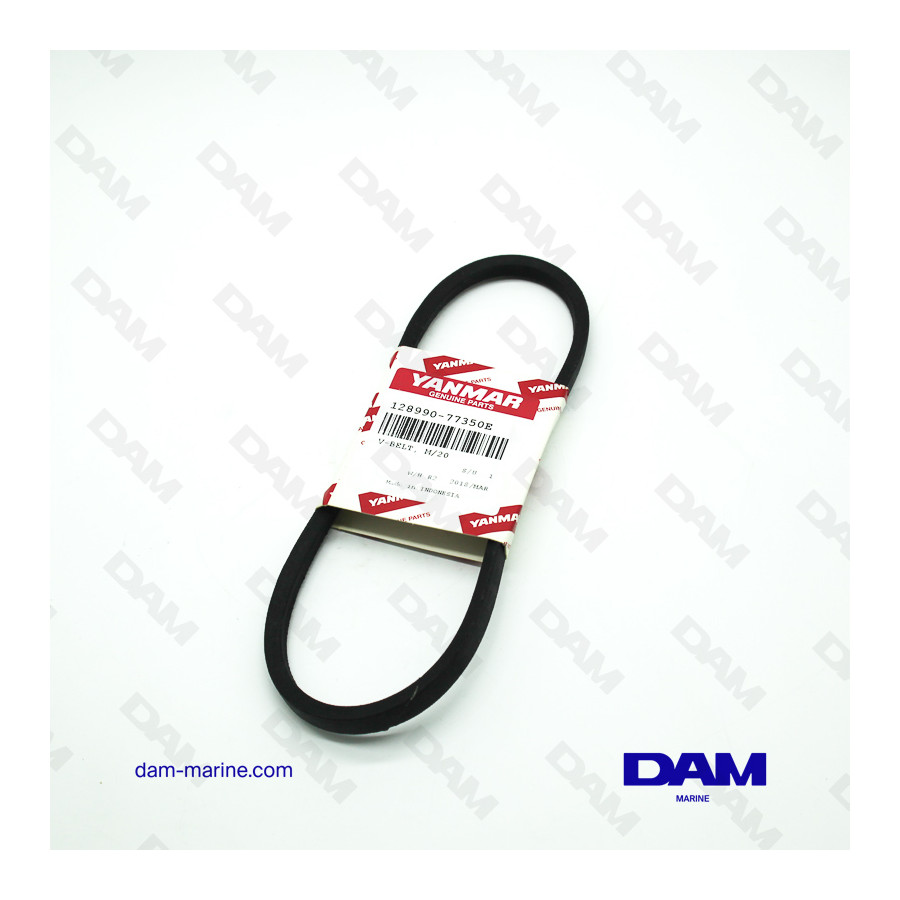 YANMAR 3YM30 M20 WATER PUMP BELT