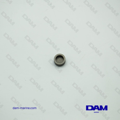 PASTILLE DE SOUPAPE YANMAR