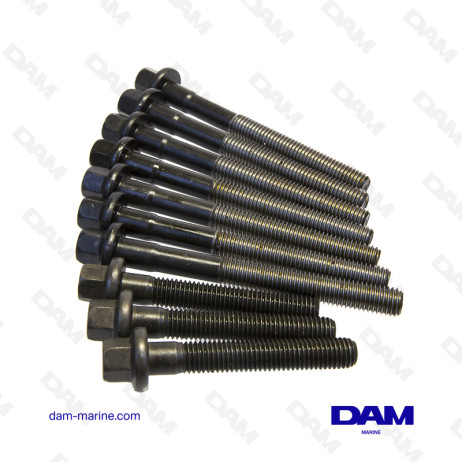 KIT VIS CULASSE VOLVO 4 CYL AQ171 - B25