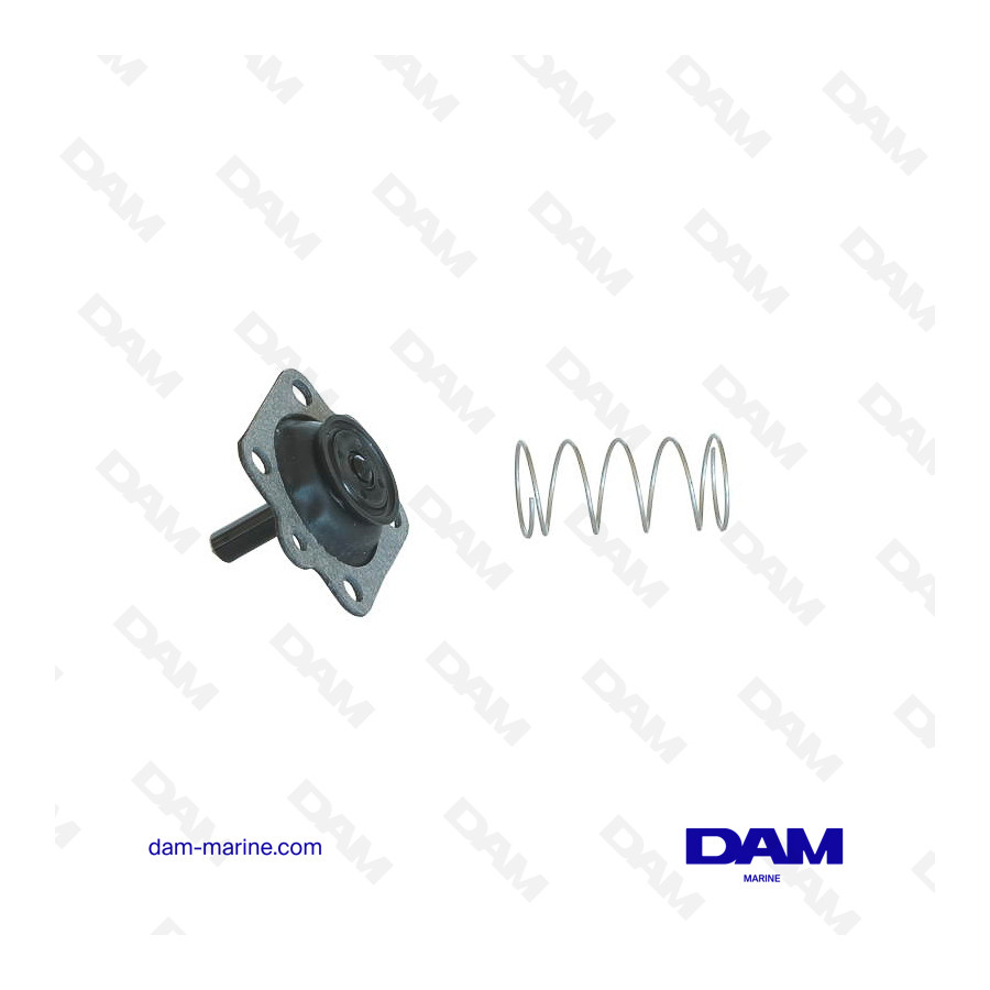 MERCURY FUEL PUMP MEMBRANE KIT