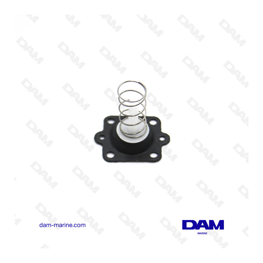 MERCURY FUEL PUMP MEMBRANE KIT