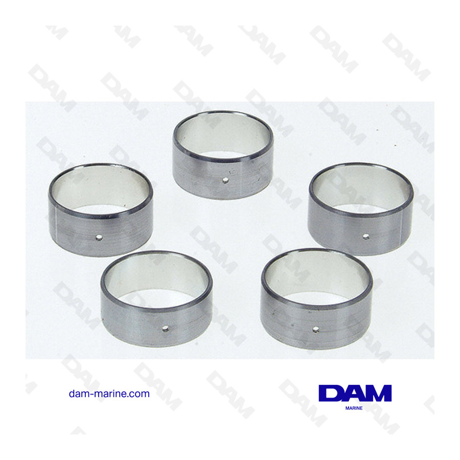 V8 BB CAMSHAFT BEARING SET