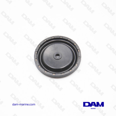 MERCURY DIAPHRAGM