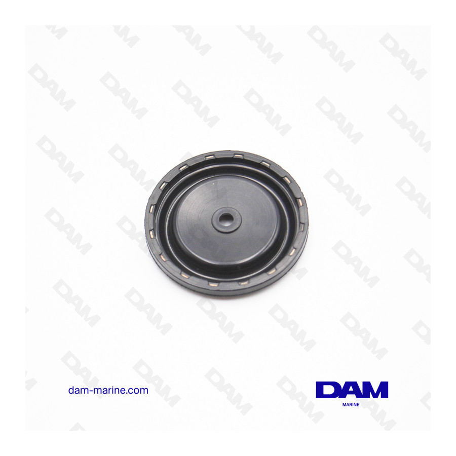 DIAPHRAGME MERCURY