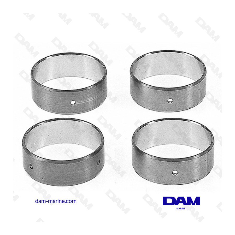 GM262 V6 CAMSHAFT BEARING SET