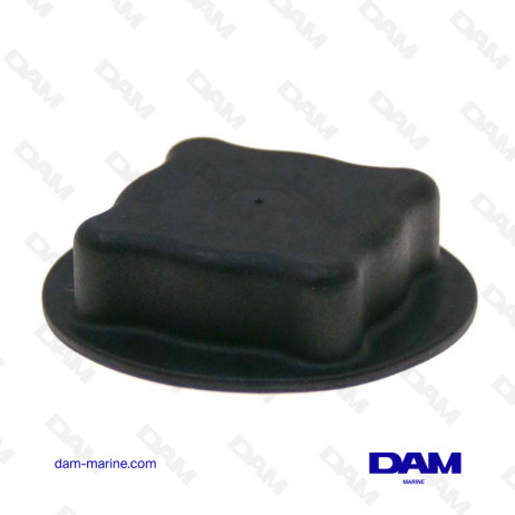 VOLVO EXPANSION TANK CAP - 1674083
