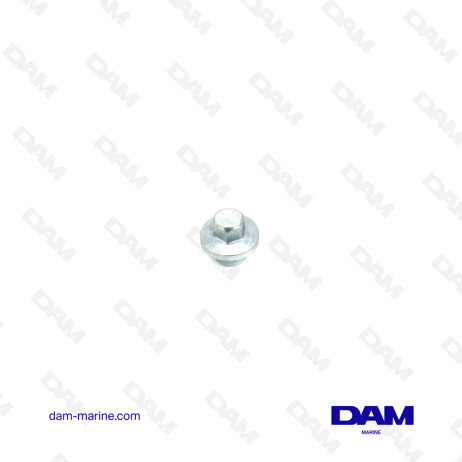 VOLVO ROCKER ARM COVER NUT