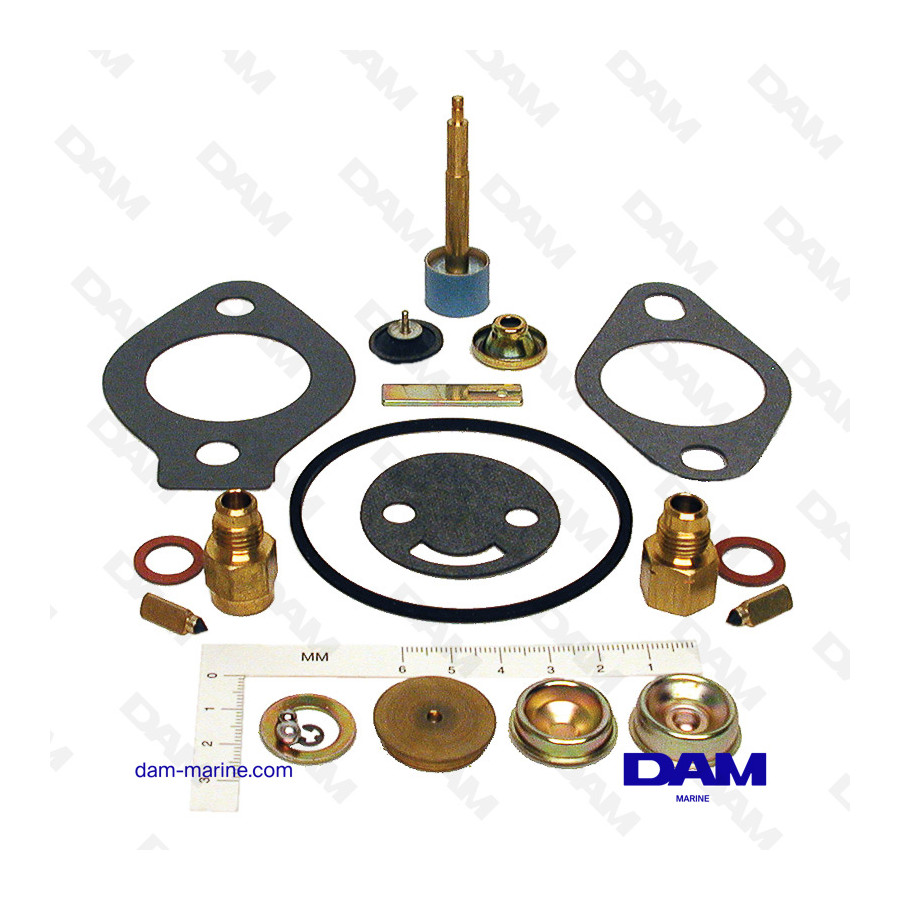OMC 120 2 CARBURETOR KIT