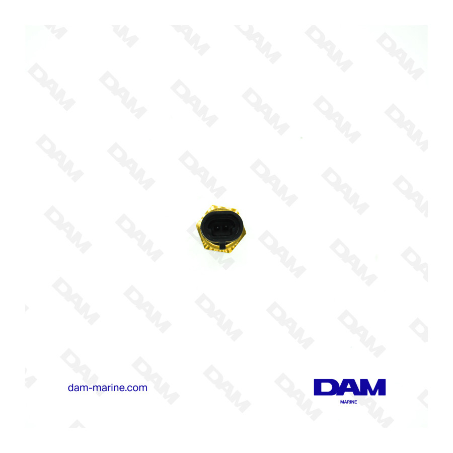 MPI/EFI TEMPERATURE SENSOR