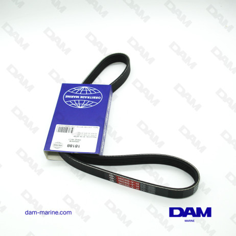 VOLVO D1-30 SERPENTINE BELT - 21951188
