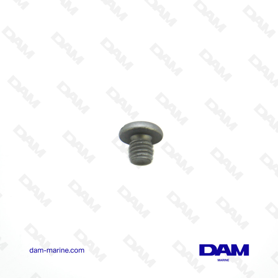 MERCURY DRAIN PLUG