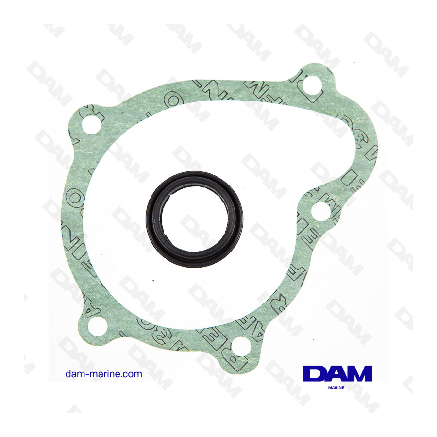 KIT DE SELLADO DE BOMBA DE ACEITE VOLVO B23 - B25