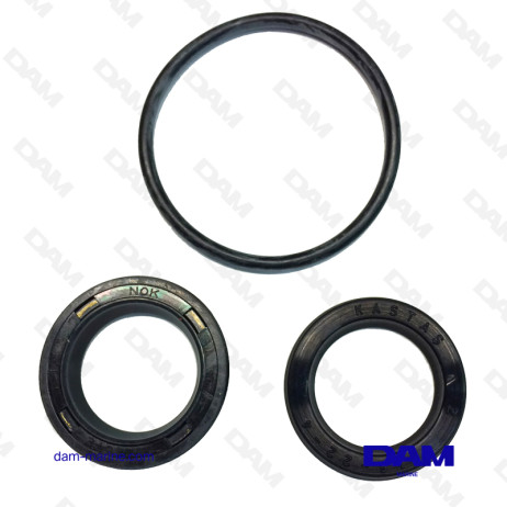 VOLVO CYLINDER GASKET KIT - 3861556