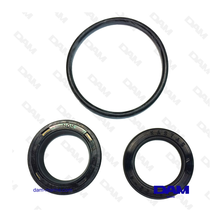 KIT DE JUNTAS DE CILINDRO VOLVO - 3861556