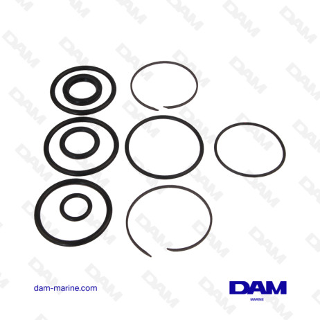 COBRA CYLINDER GASKET KIT - SX - DP-SM