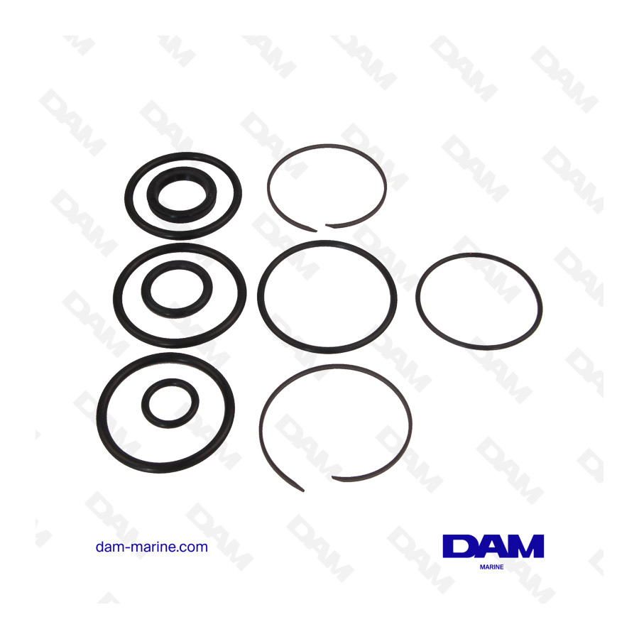KIT JOINTS VERIN COBRA - SX - DP-SM