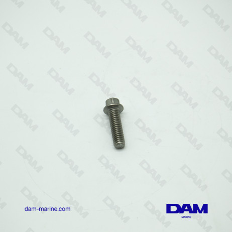 VOLVO BASE SCREW - BRP