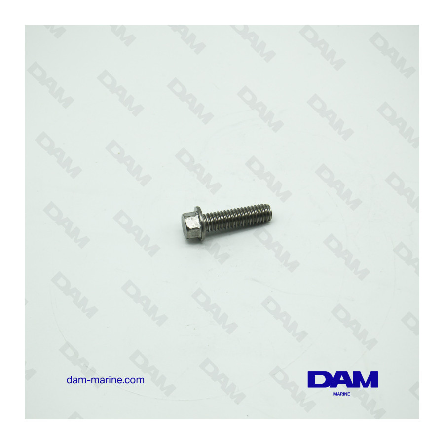 VOLVO BASE SCREW - BRP