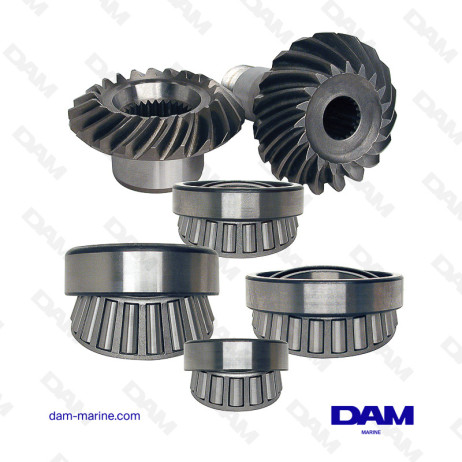 CONICAL TORQUE OMC COBRA V6 BASE 21/19 TEETH 0984012