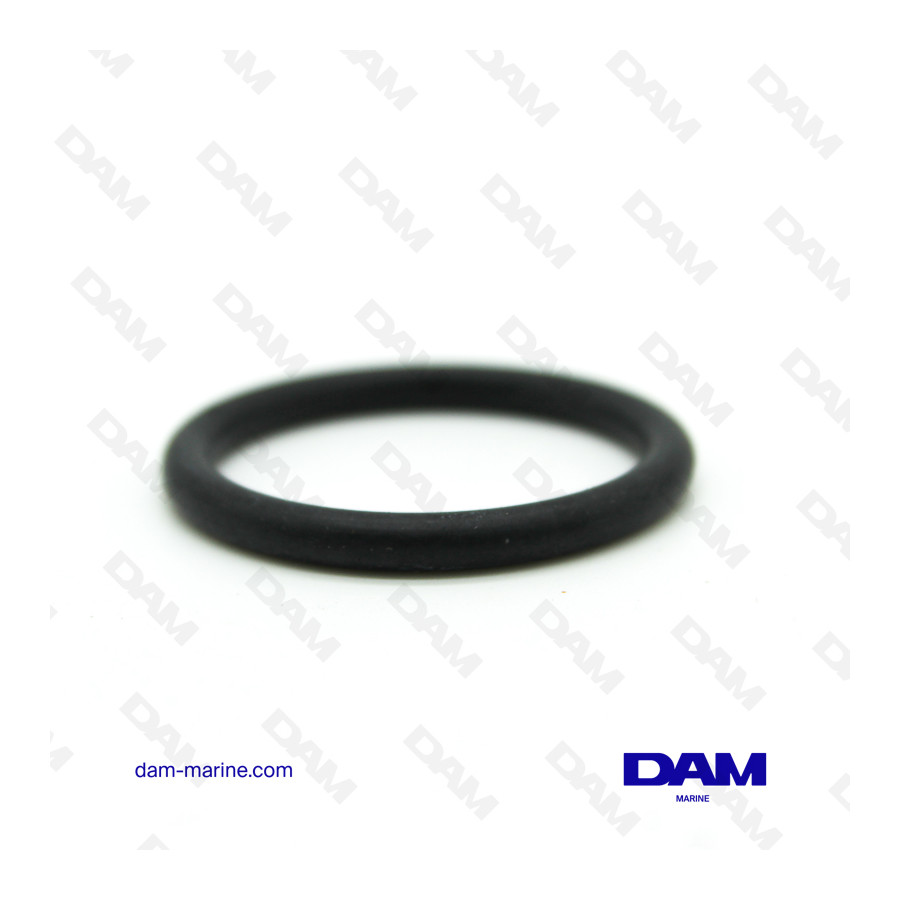 ANILLO TÓRICO