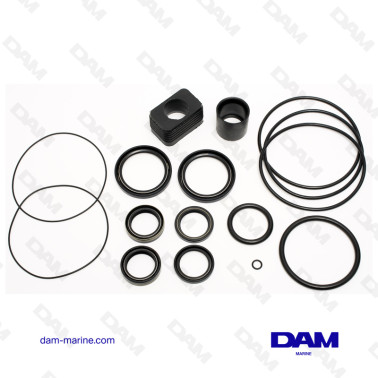 KIT JOINTS BAS EMBASE PARA VOLVO DP-SM 3856002