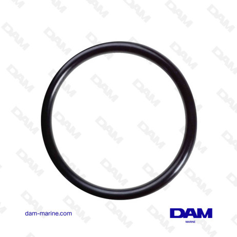 ANELLO TORICO YANMAR