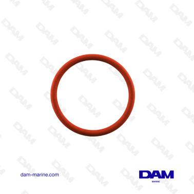 O-RING DI MERCURIO