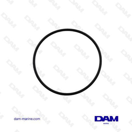 O-RING DELLA POMPA ACQUA DI MARE MERCRUISER